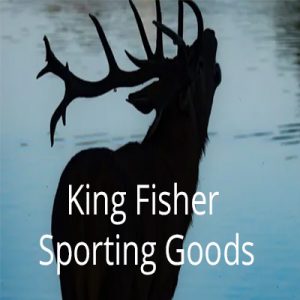 king fisher4 king fisher4